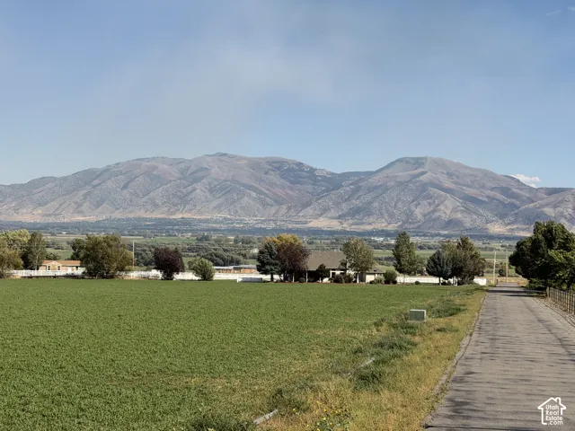 Expansive green field with a distant mountain backdrop