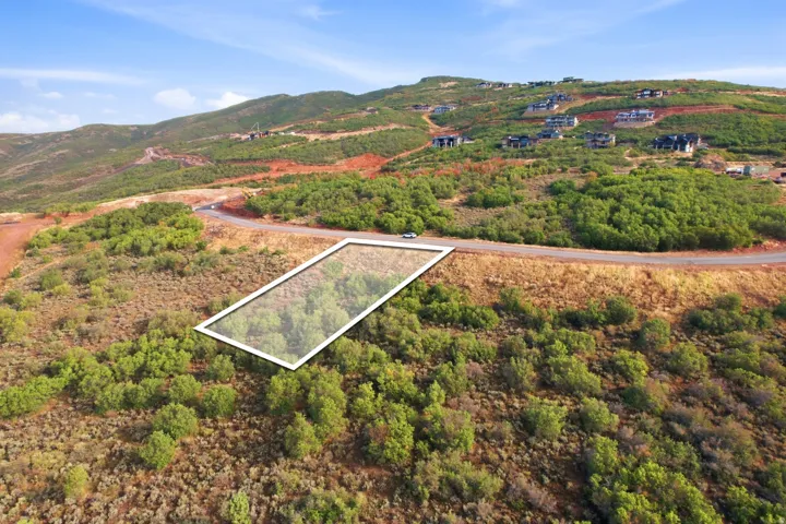 Sloping undeveloped terrain with a paved road