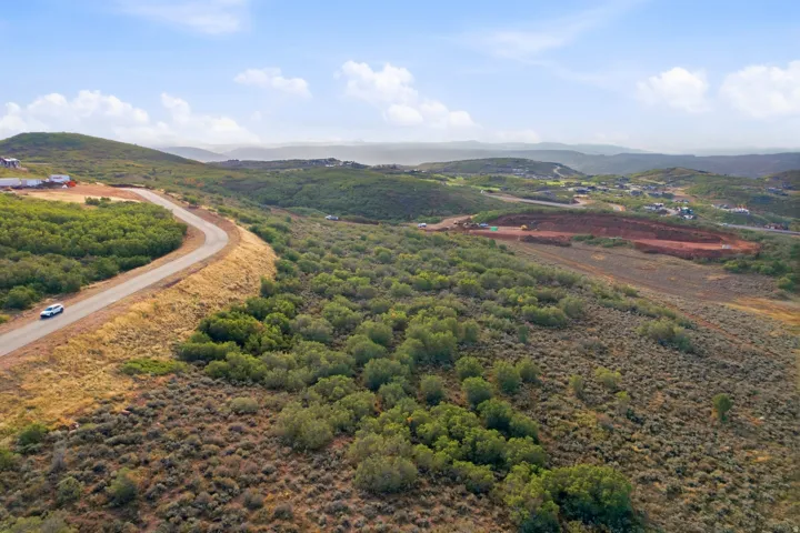 Expansive undulating landscape with extensive vegetation, paved road, and distant residential structures