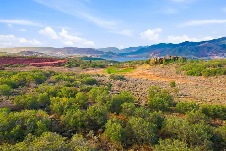 Expansive natural landscape with varied foliage, distant body of water, and mountain backdrop
