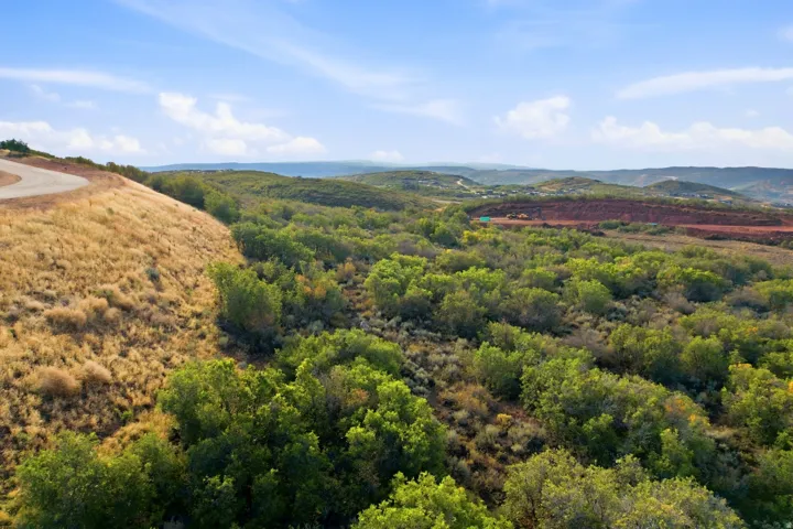 Expansive undeveloped land with a winding paved road and natural shrubbery
