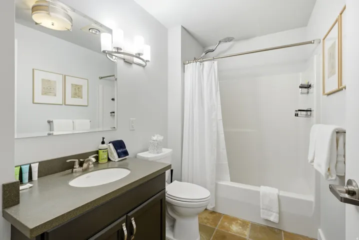 Full bathroom featuring a dark wood-finish vanity with a stone countertop, an integrated sink, a full-width wall mirror, and an overhead vanity light fixture