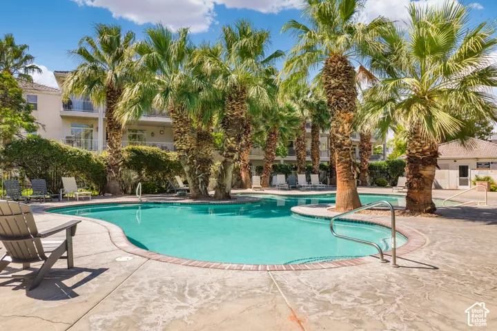 Expansive outdoor pool with a brick-coping edge and integrated handrails, surrounded by numerous mature palm trees