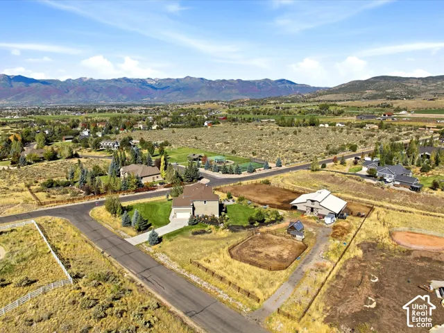 Expansive rural setting with mountain backdrop and mature landscaping