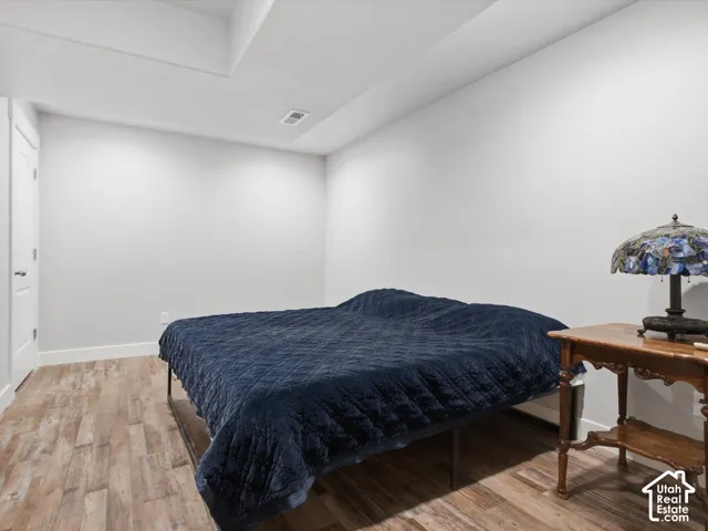 Recessed ceiling, wood-finish flooring, and a white interior door