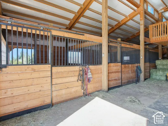 Barn interior featuring multiple stalls with wood-paneled bases and metal bar tops, exposed wood beam ceiling, and a wood balcony structure