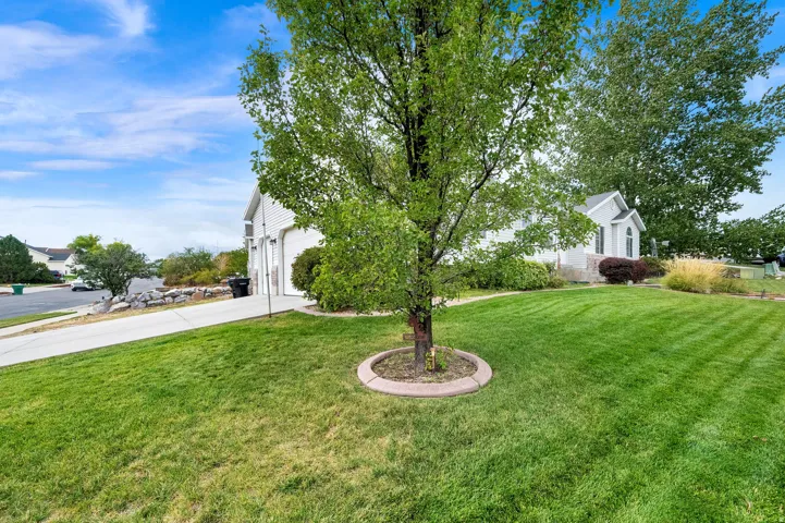 Manicured lawn, mature trees, concrete driveway, stone retaining wall, and established landscaping