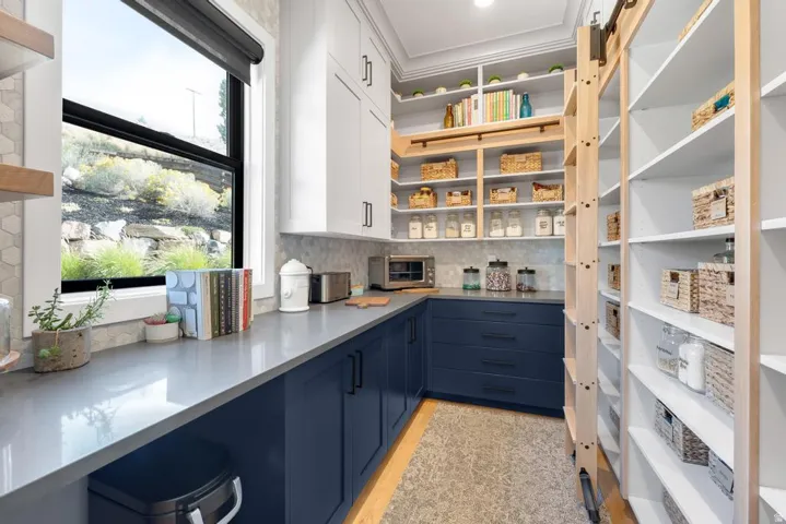 Extensive pantry featuring built-in shelving, a rolling ladder, and a window for natural illumination