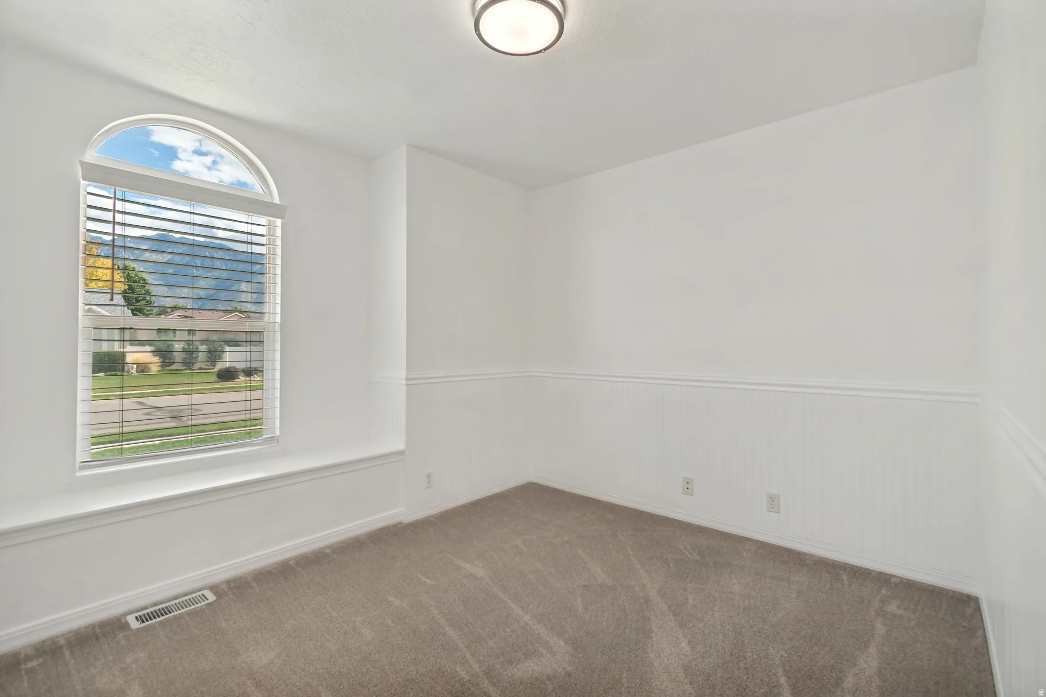Arched window with blinds, carpeted flooring, wainscoting, and a flush mount ceiling light