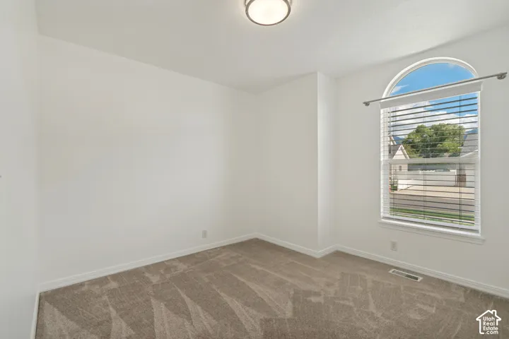 Arched window with blinds, overhead flush mount light fixture, and neutral wall-to-wall carpeting