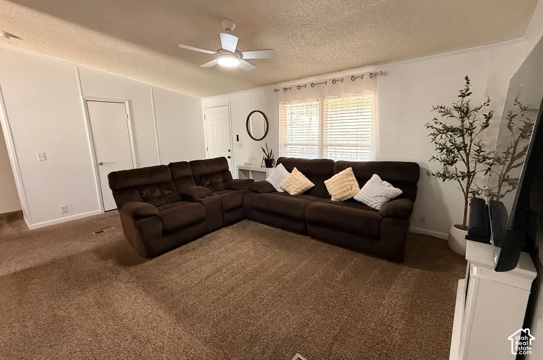 Recessed lighting, ceiling fan, and window blinds