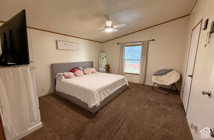 Spacious room featuring carpeting, a ceiling fan, and a double-door closet