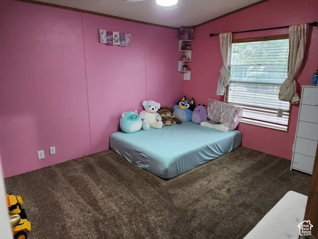 Room featuring wall-to-wall carpeting, corner-mounted floating shelving, and a window with horizontal blinds
