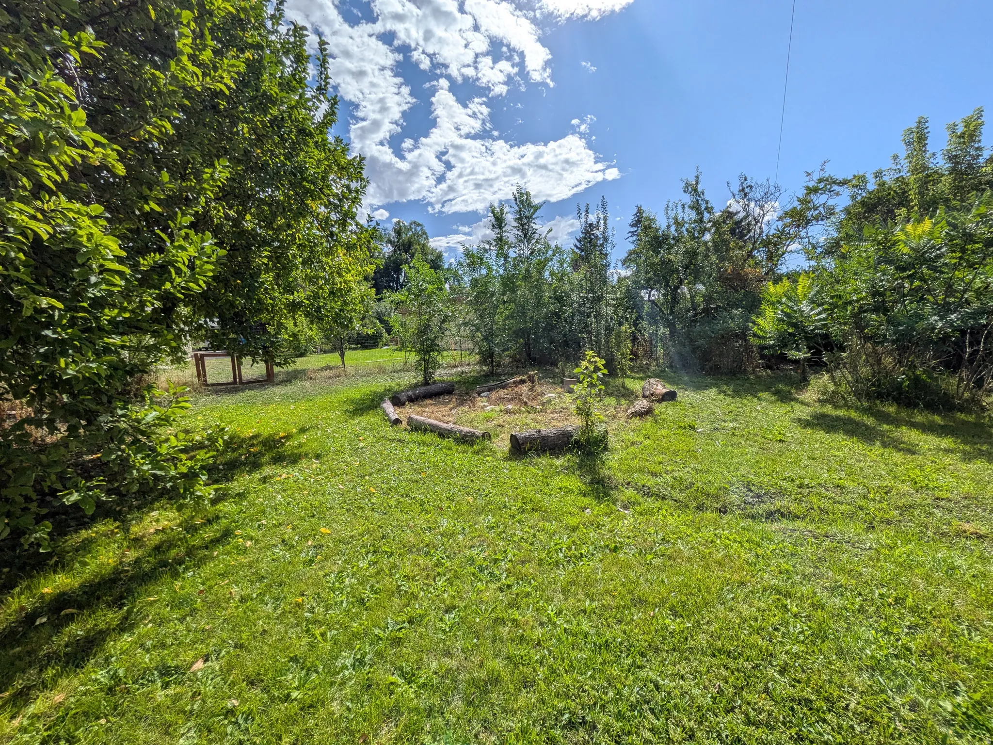 Expansive lawn area with mature trees and a log-bordered planting bed