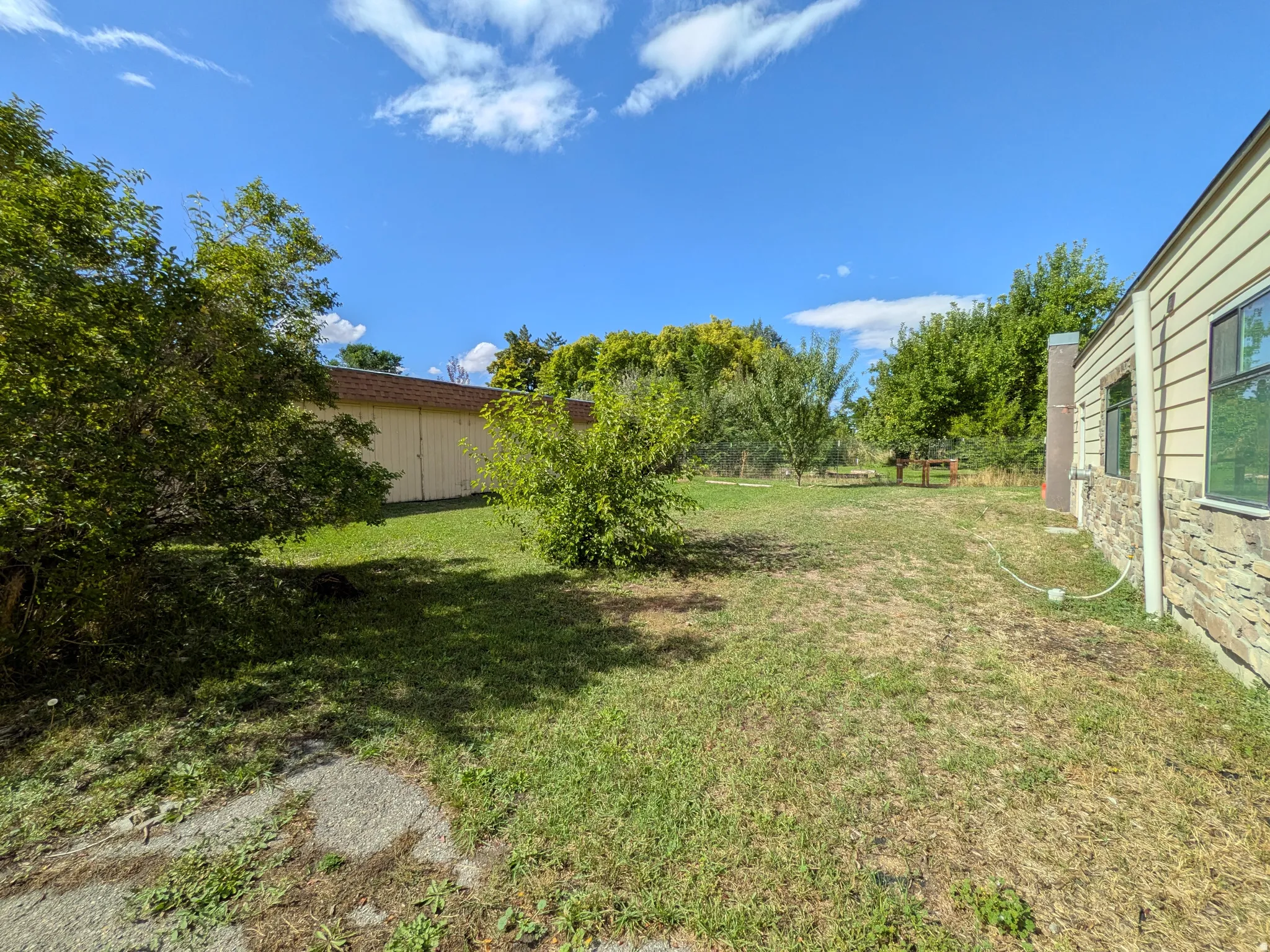 Expansive lawn with mature trees and a detached outbuilding