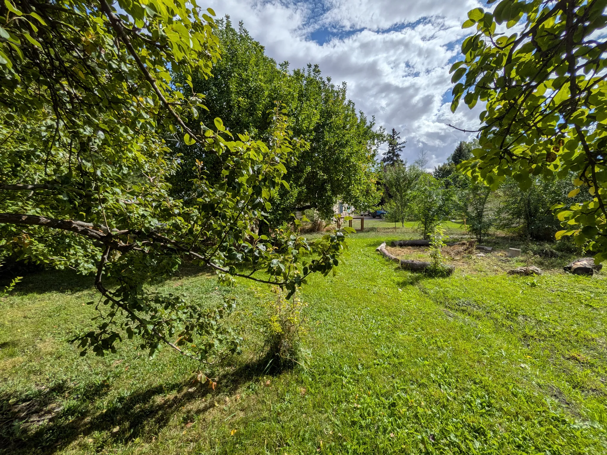 Expansive grassy area with mature trees and natural landscaping