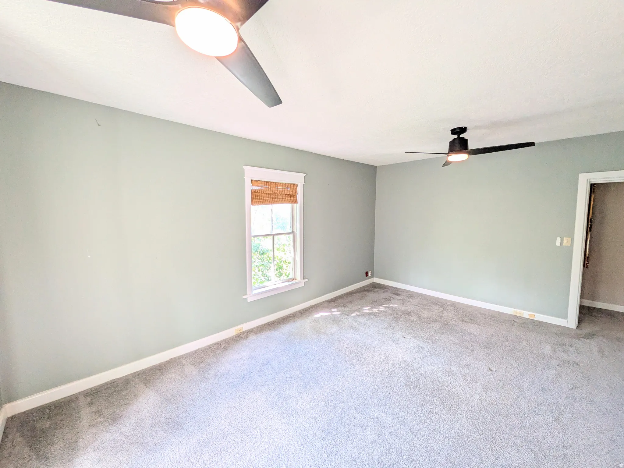 Wall-to-wall carpeting, window with natural light, two ceiling fans with integrated lighting, and painted walls