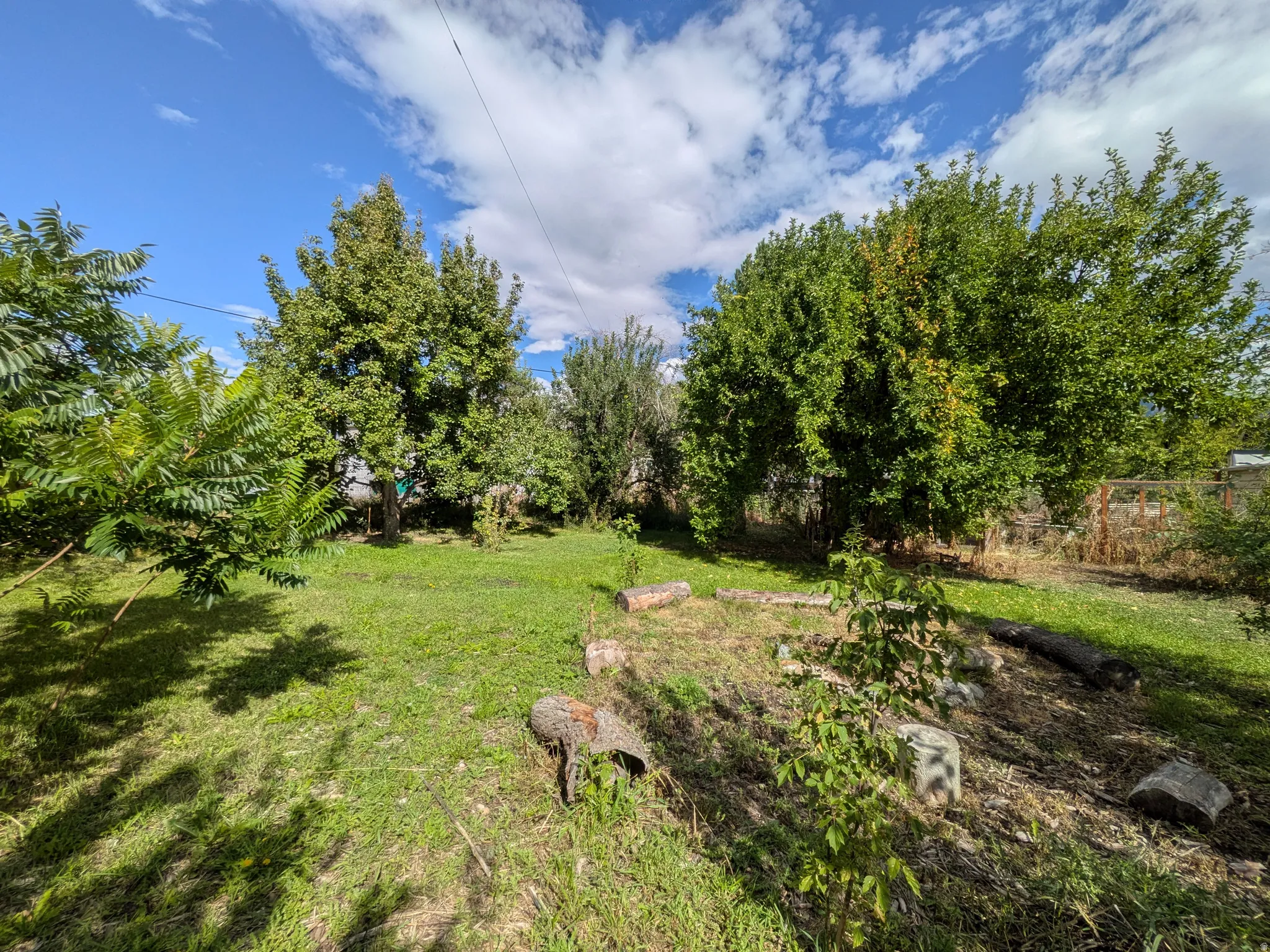 Expansive green space featuring a variety of mature trees and natural ground cover