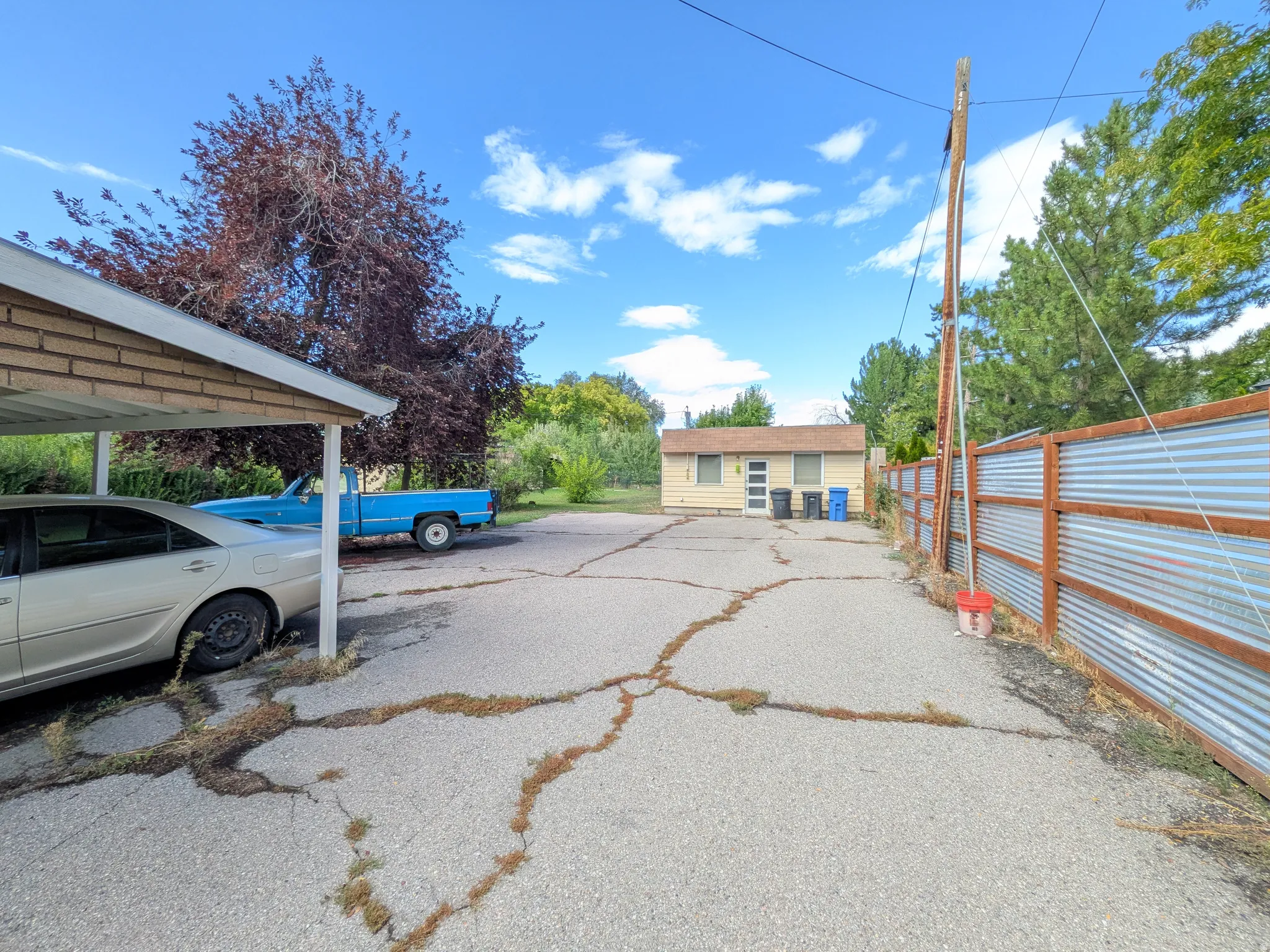 Detached carport structure, mature deciduous tree, corrugated metal fencing, and a separate single-story building with a light-colored exterior