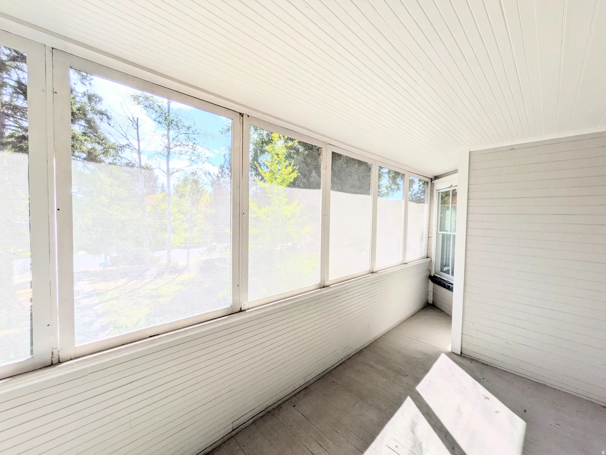 Screened porch with light-toned wood-finish flooring, white horizontal wall paneling, and a white plank ceiling