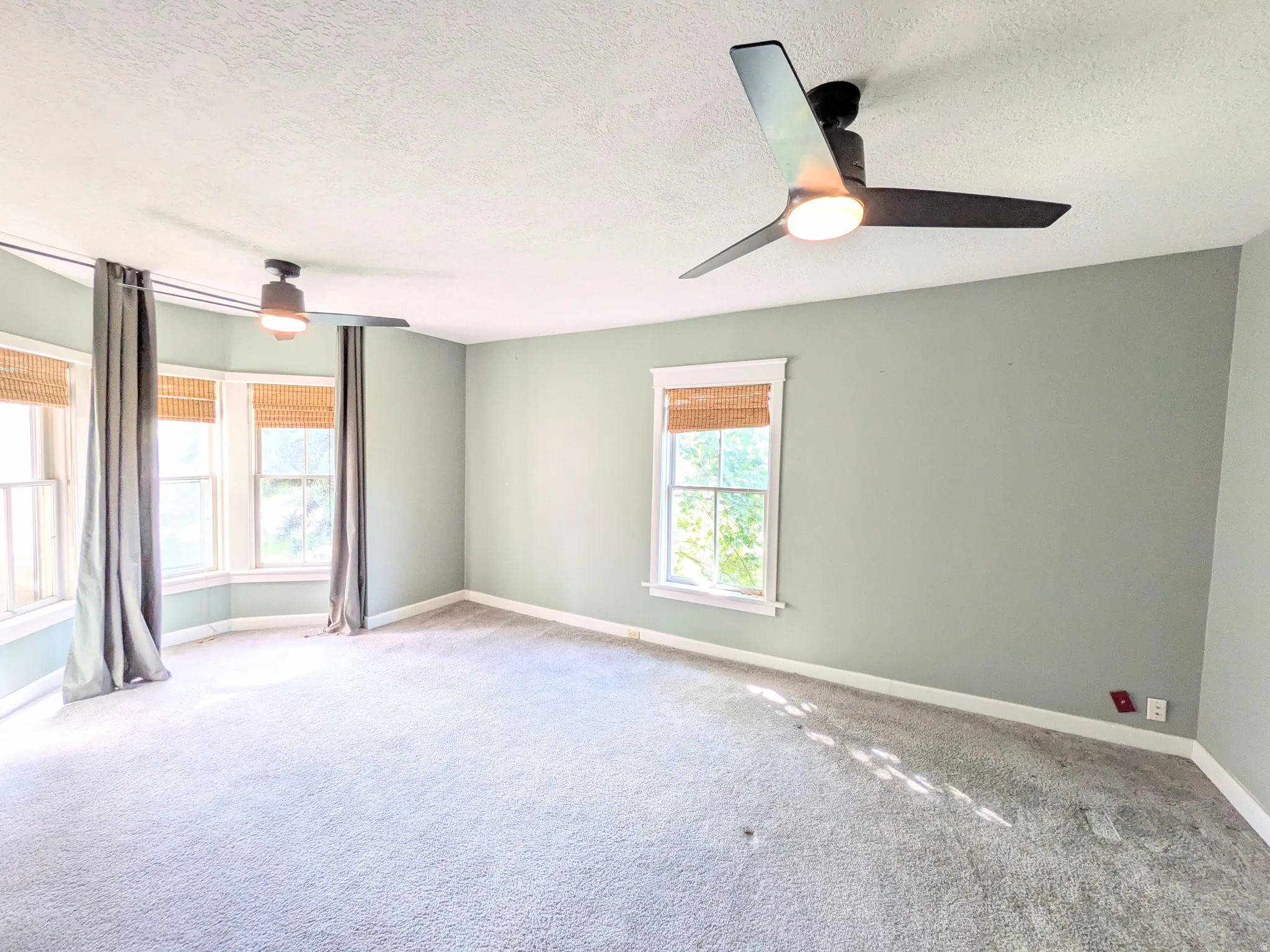 Spacious room featuring light gray carpet, multiple windows with natural wood blinds, and two ceiling fans with integrated lighting