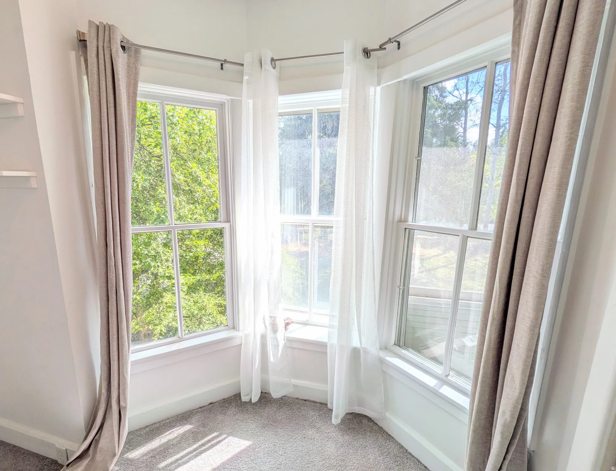 Bay window featuring multiple large windows, wall-to-wall carpeting, and bright interior paint