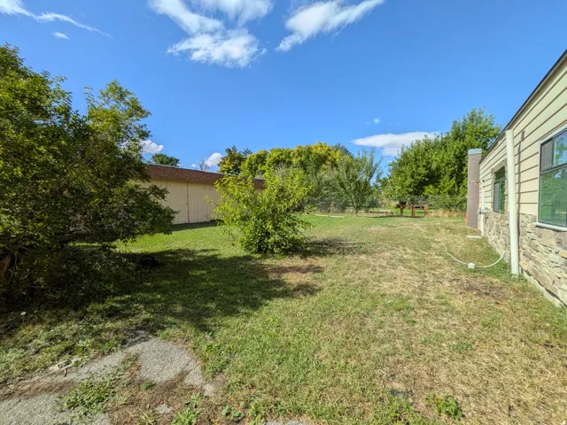 Expansive lawn with mature trees and a detached outbuilding