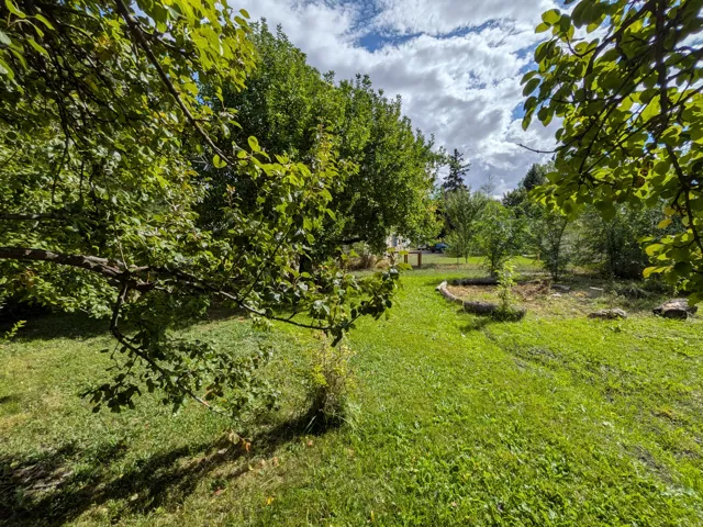 Expansive grassy area with mature trees and natural landscaping
