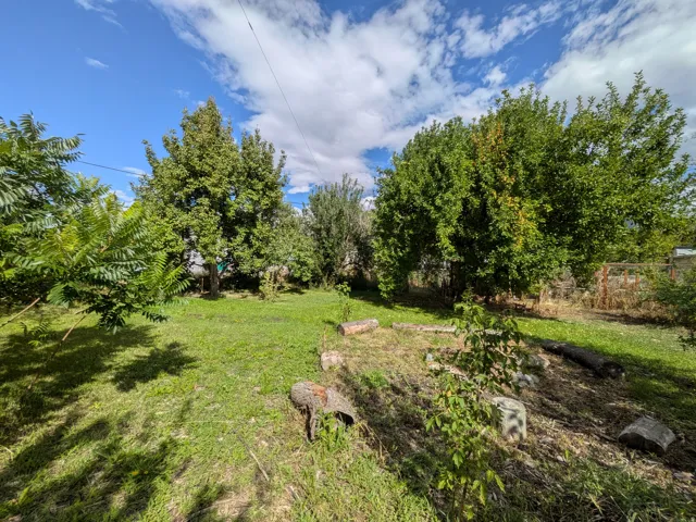 Expansive green space featuring a variety of mature trees and natural ground cover