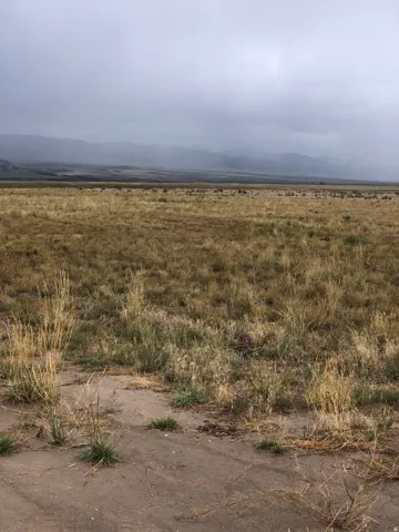 Expansive open land featuring diverse natural vegetation and distant mountain ranges