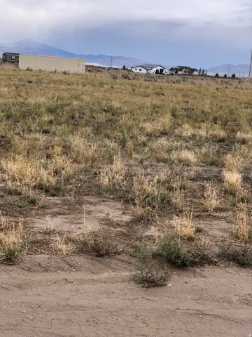 Expansive undeveloped land with natural ground cover
