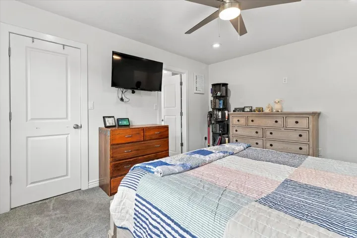 Plush carpet flooring, ceiling fan with integrated lighting, and white paneled doors