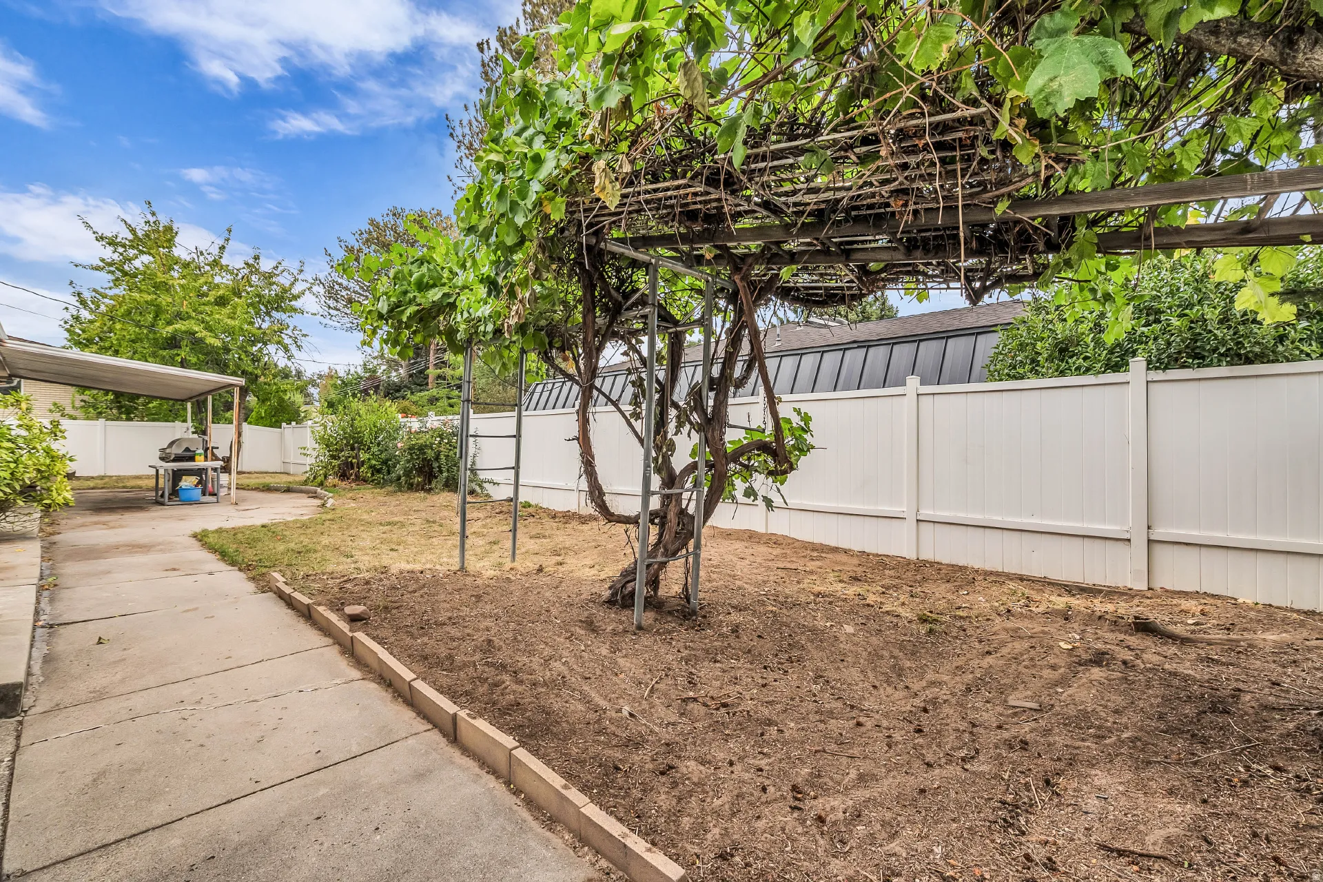 Enclosed backyard featuring a concrete patio, a covered patio area, a mature vine-covered trellis, and a white privacy fence