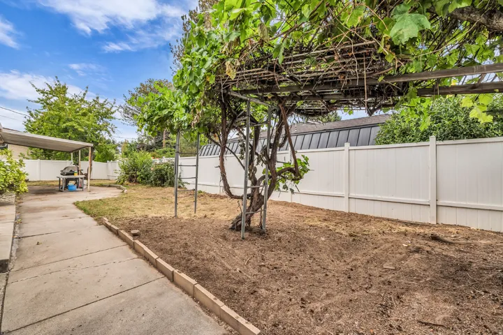 Enclosed backyard featuring a concrete patio, a covered patio area, a mature vine-covered trellis, and a white privacy fence