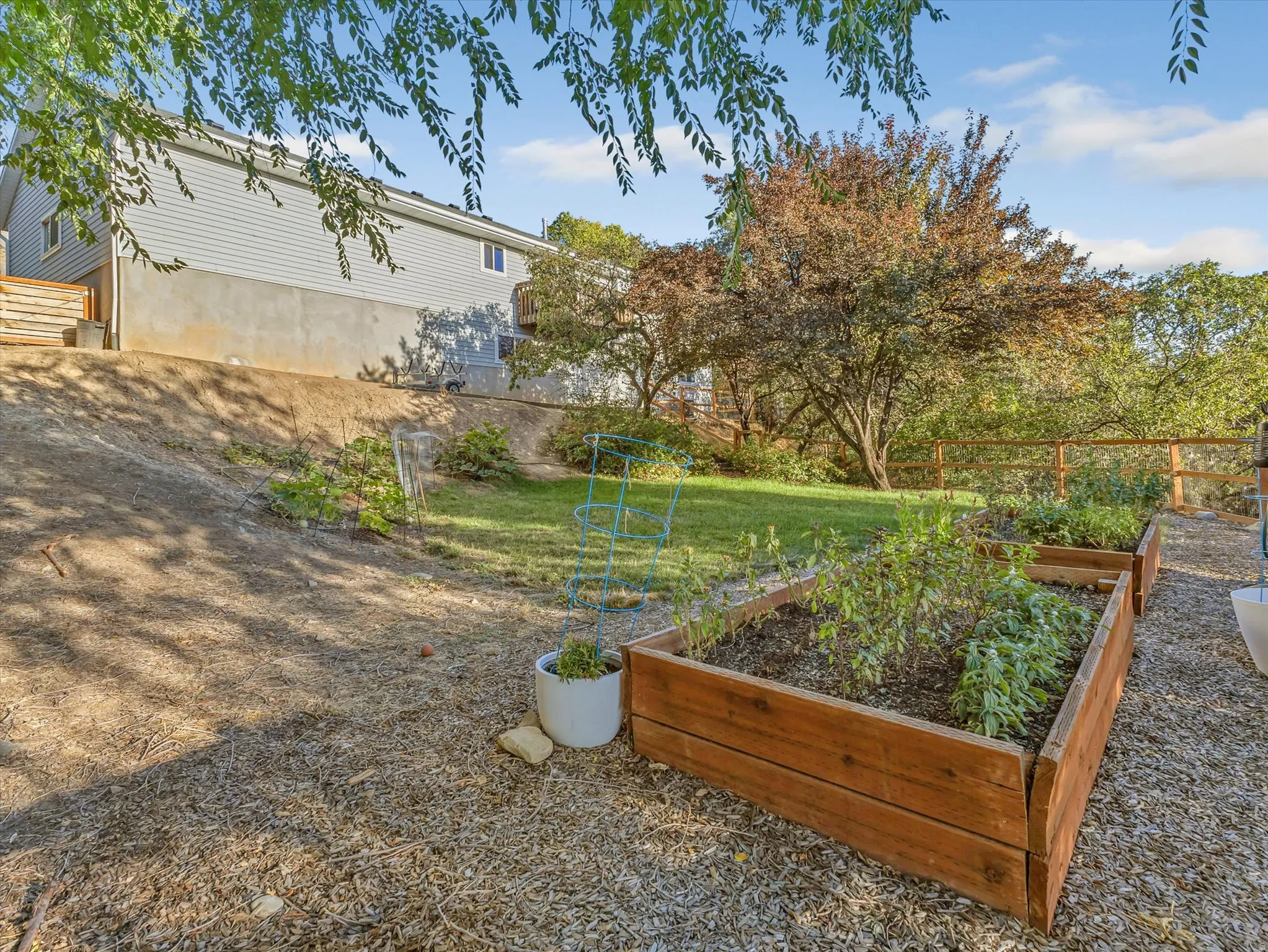 Expansive backyard featuring a manicured lawn, established trees, and raised garden beds
