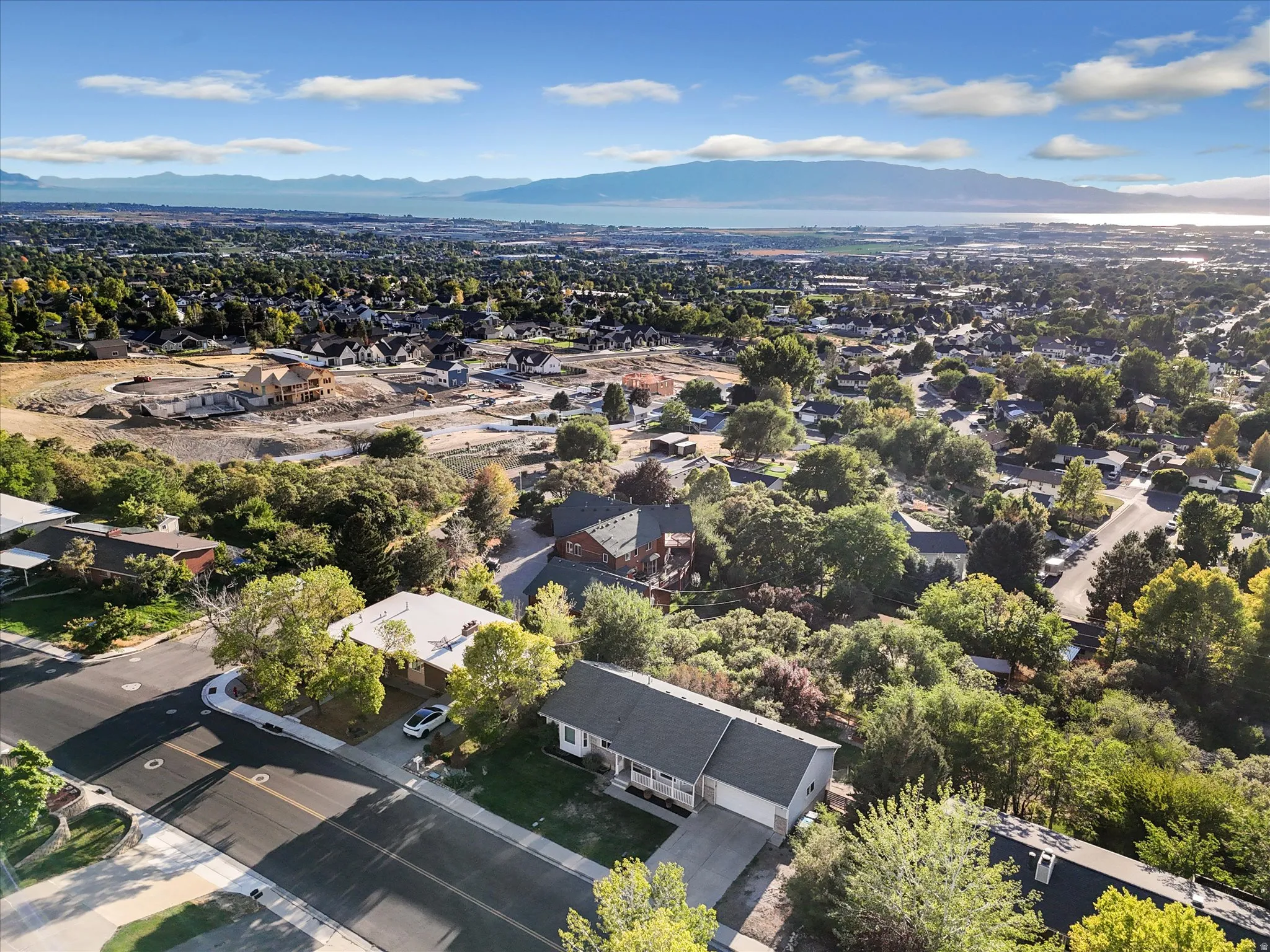 Aerial perspective showcasing a residential neighborhood with extensive mature trees, a distant body of water, and mountains on the horizon
