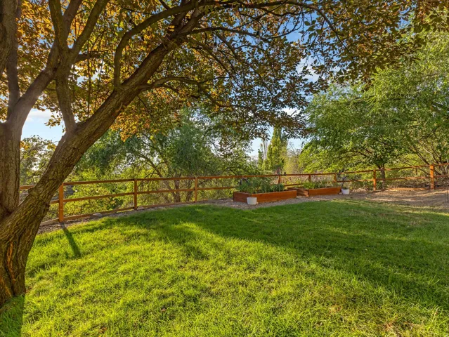 Expansive grassy area featuring mature trees, a wood-finish fence, and built-in wood-finish planters
