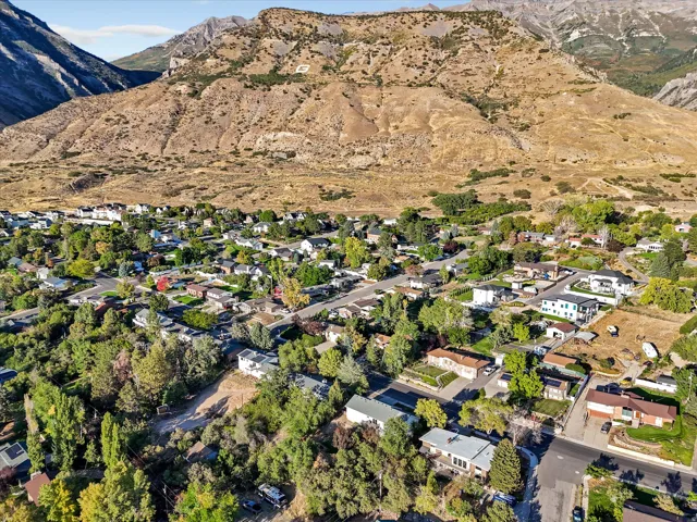 Residential community featuring mature trees and established homes