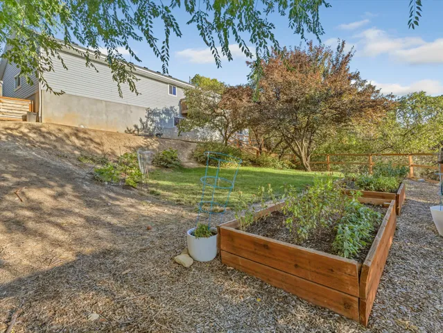 Expansive backyard featuring a manicured lawn, established trees, and raised garden beds