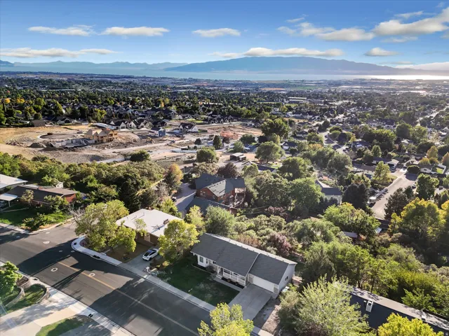 Aerial perspective showcasing a residential neighborhood with extensive mature trees, a distant body of water, and mountains on the horizon