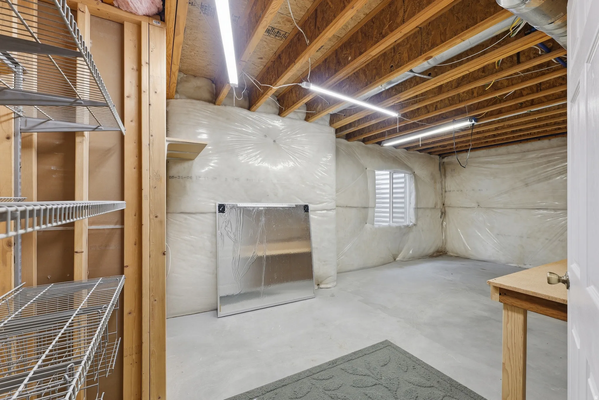 Storage area #2 (off hallway)