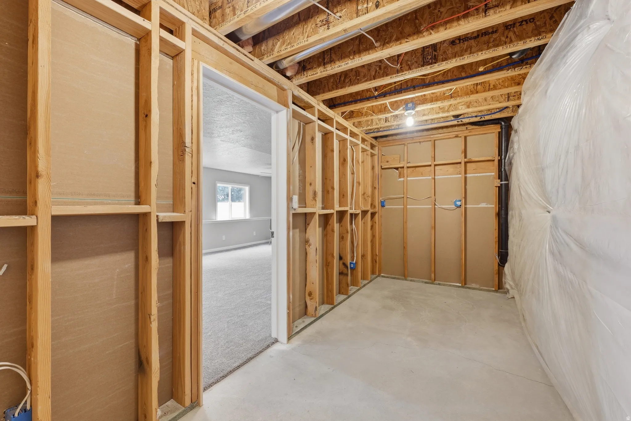 Storage area #1 (off great room)