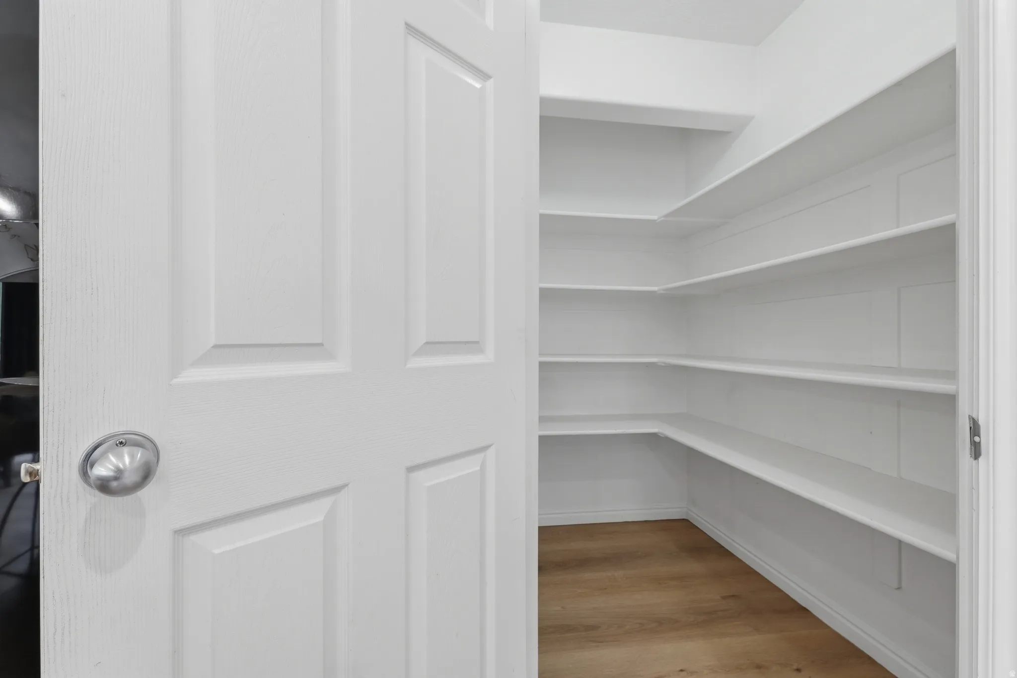 Large walk-in pantry featuring wood-finish LVP flooring and extensive built-in shelving