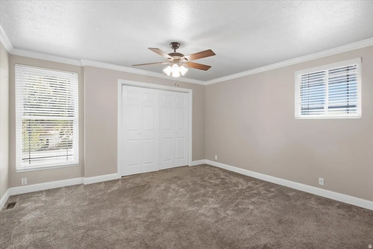 Neutral-toned walls, plush carpet flooring, two windows with blinds, a ceiling fan with light, and bi-fold closet doors