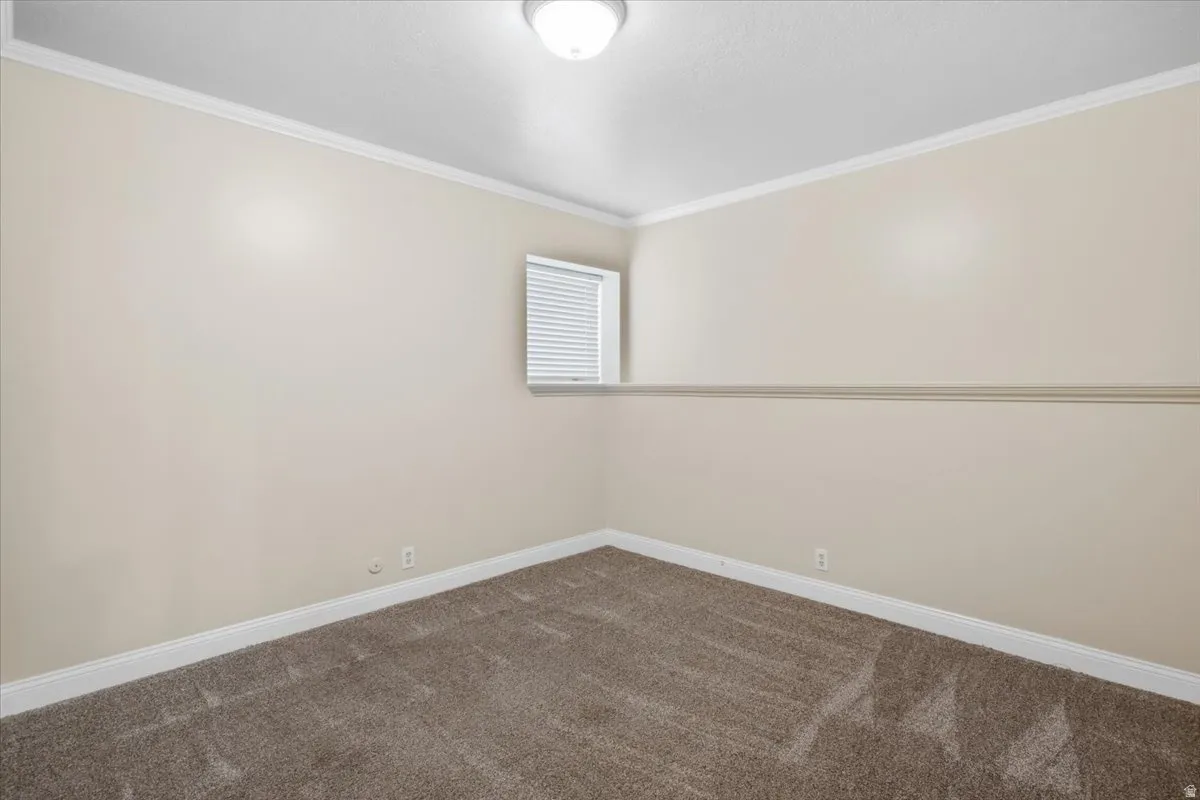 Neutral wall paint with crown molding, textured carpeting, and a single window with blinds