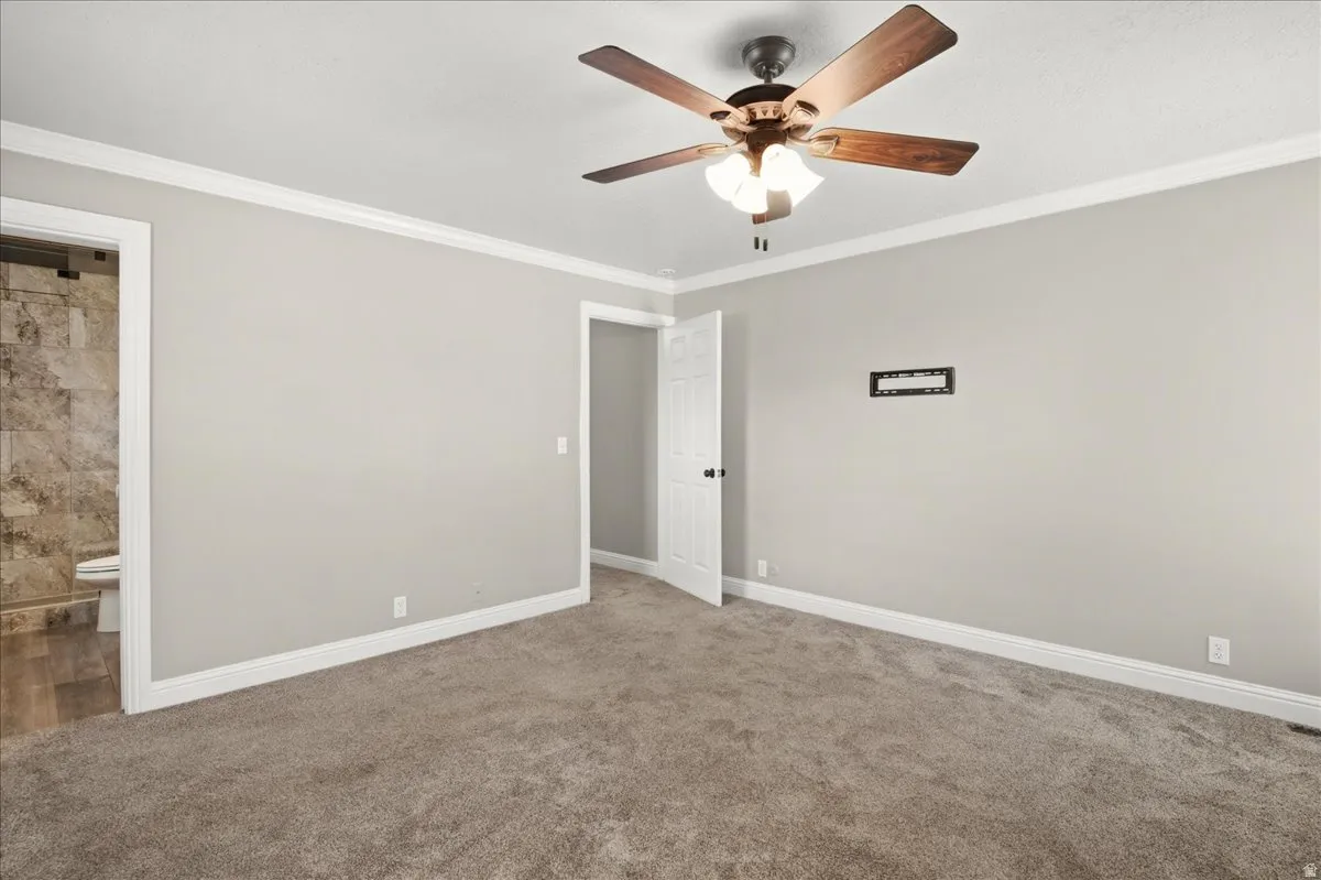 Spacious room featuring neutral carpeting, a ceiling fan with integrated lighting, and white trim molding
