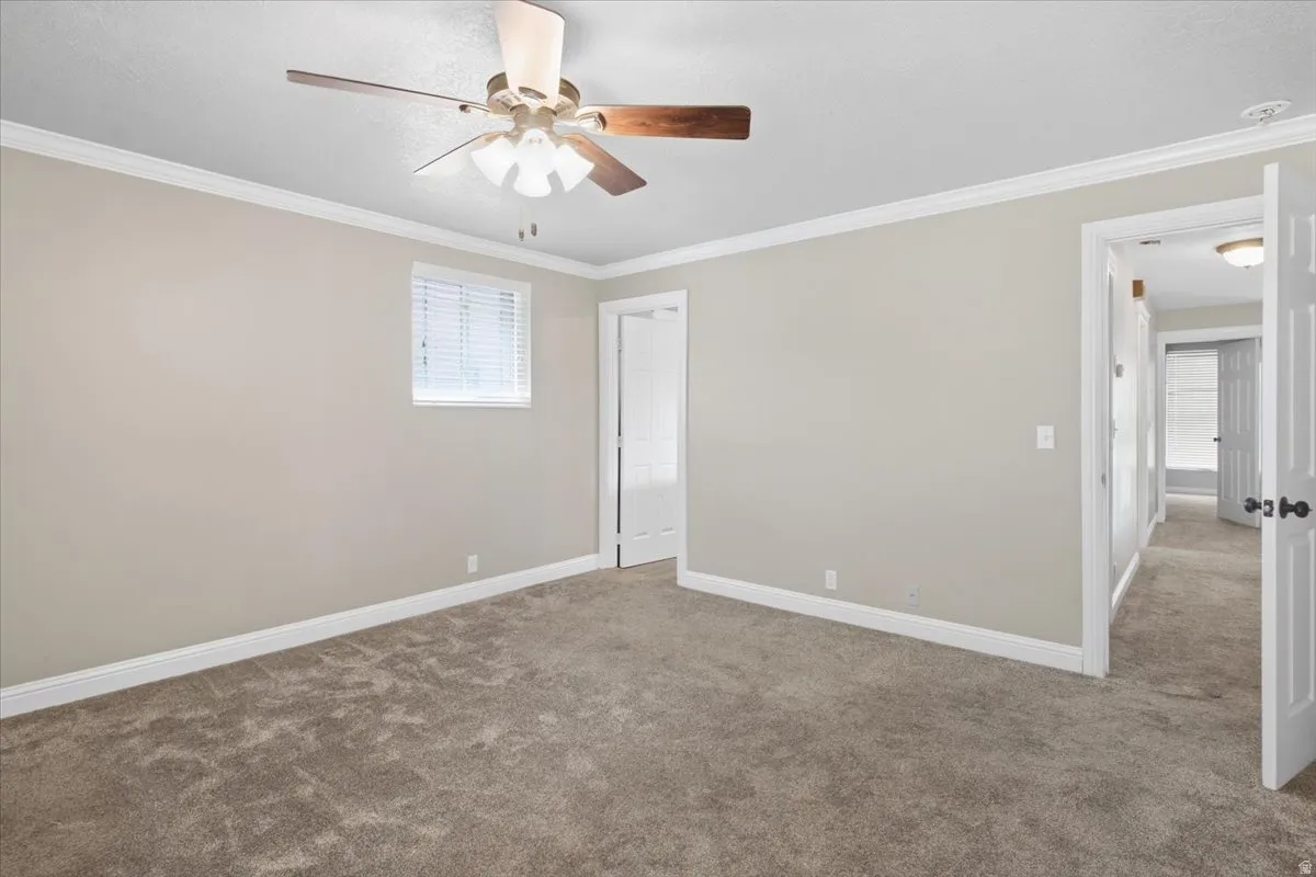 Soft gray carpet flooring, white trim, crown molding, and a ceiling fan with light fixture