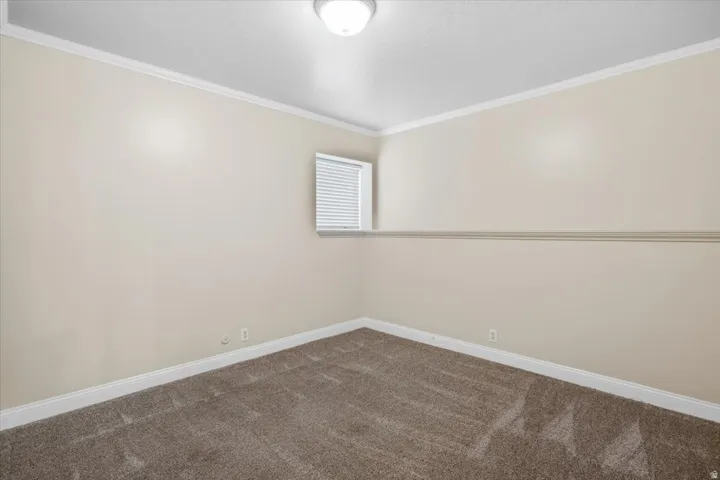Neutral wall paint with crown molding, textured carpeting, and a single window with blinds