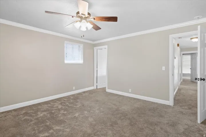 Soft gray carpet flooring, white trim, crown molding, and a ceiling fan with light fixture