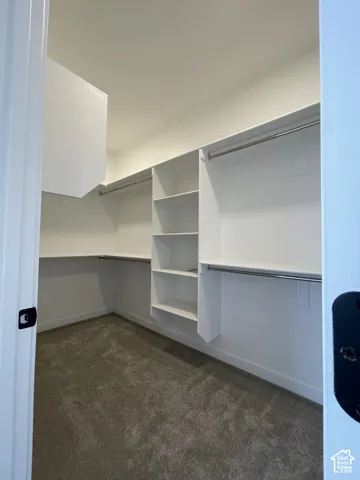 Primary Bedroom Walk-in closet featuring white built-in shelving, integrated hanging rods, and neutral carpeted flooring